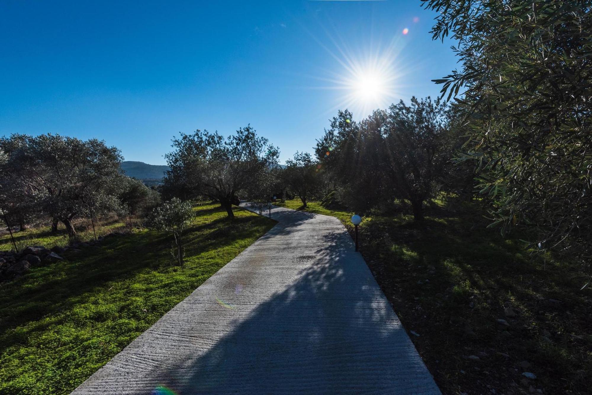 Evgenias Olive House Βίλα Κάλαθος Εξωτερικό φωτογραφία
